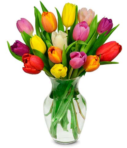 Rainbow Tulip Bouquet - 15 Stems