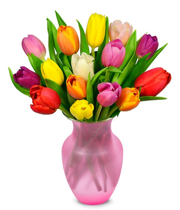 Tulips Tulips for Delivery FromYouFlowers
