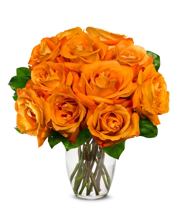 F-212.jpg?auto=webp&quality=80
