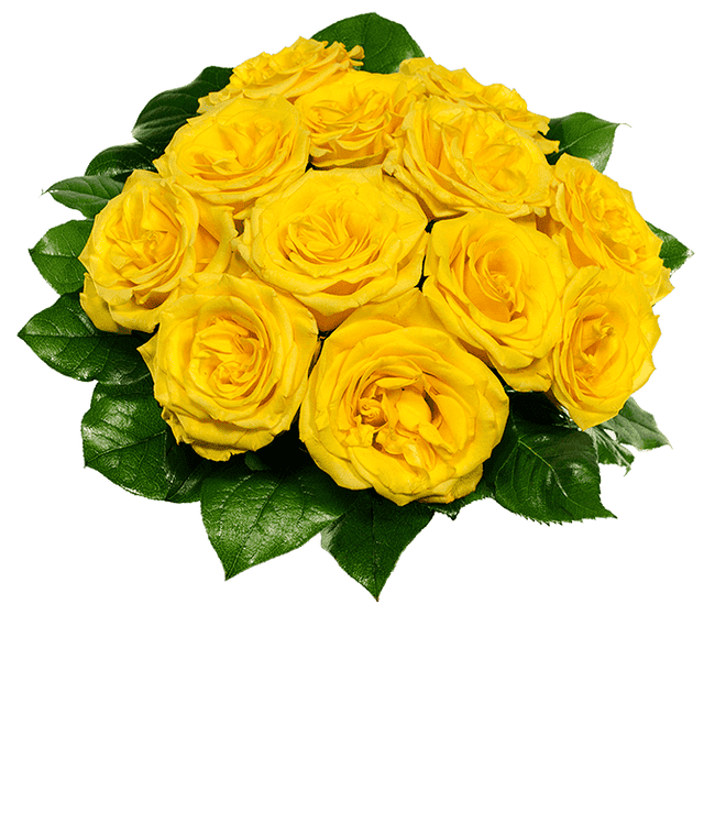 Partial image of one dozen yellow roses for delivery  without vase