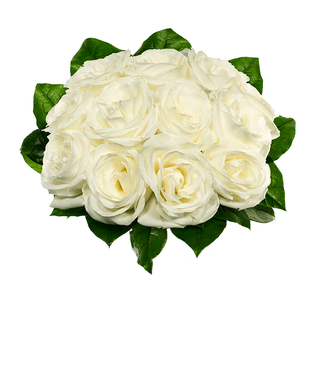 Partial image of One Dozen White Roses without vase