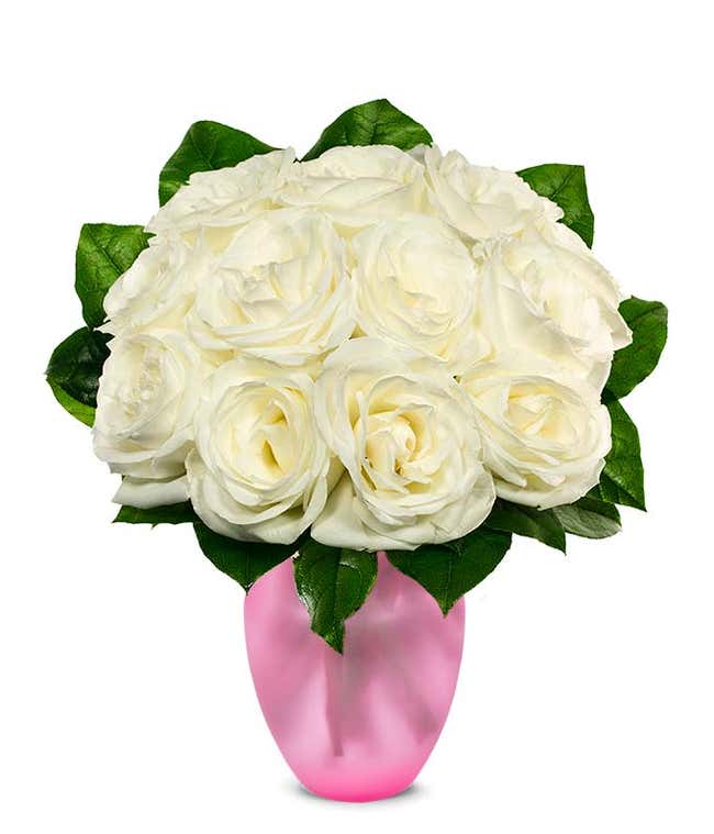 An elegant arrangement featuring one dozen white roses. This classic and timeless display offers a touch of purity and sophistication, perfect for any special occasion.