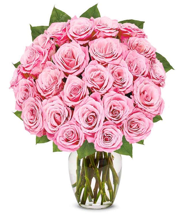 Two dozen long stem pink roses 