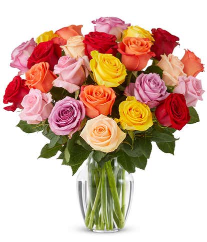 Two Dozen Rainbow Roses 