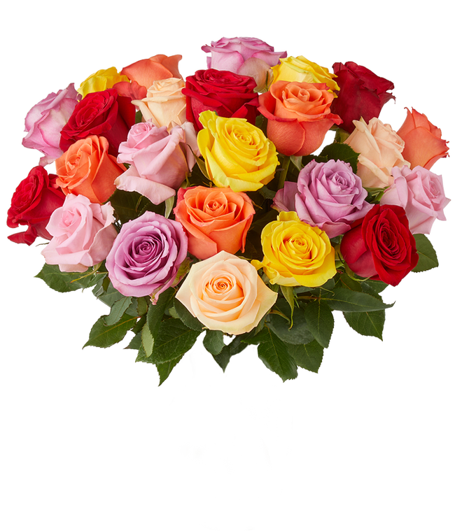 Partial image of Two dozen rainbow roses for Mother's Day rose delivery without vase