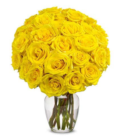 Two Dozen Yellow Roses 
