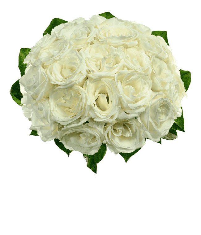 Partial image of Two dozen white roses without vase
