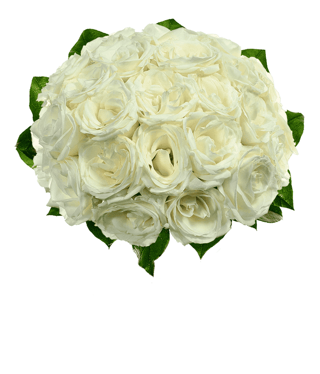 Two dozen white roses