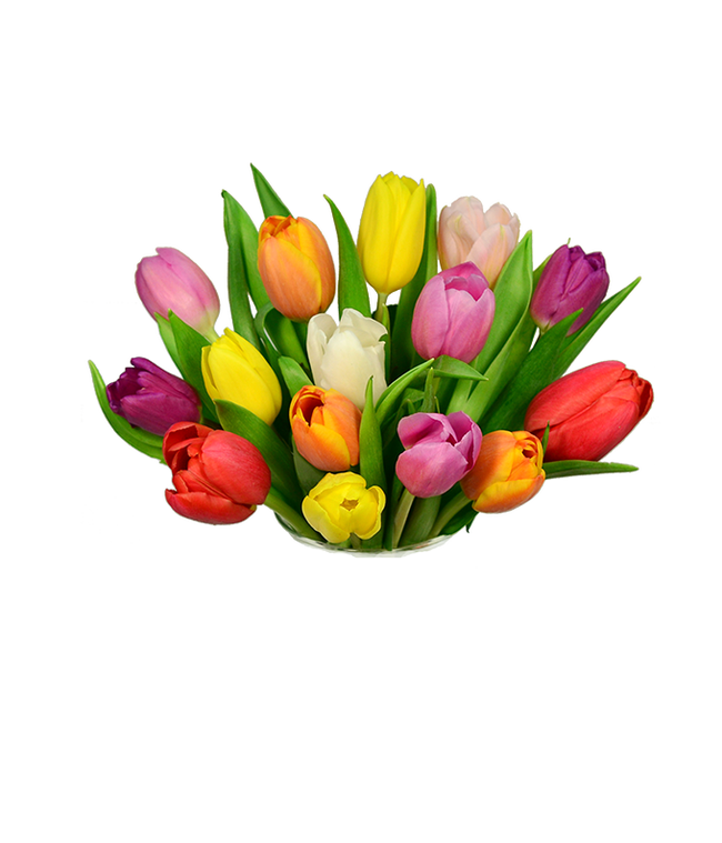 Partial image of Rainbow Tulip Bouquet - 15 Stems without vase.
