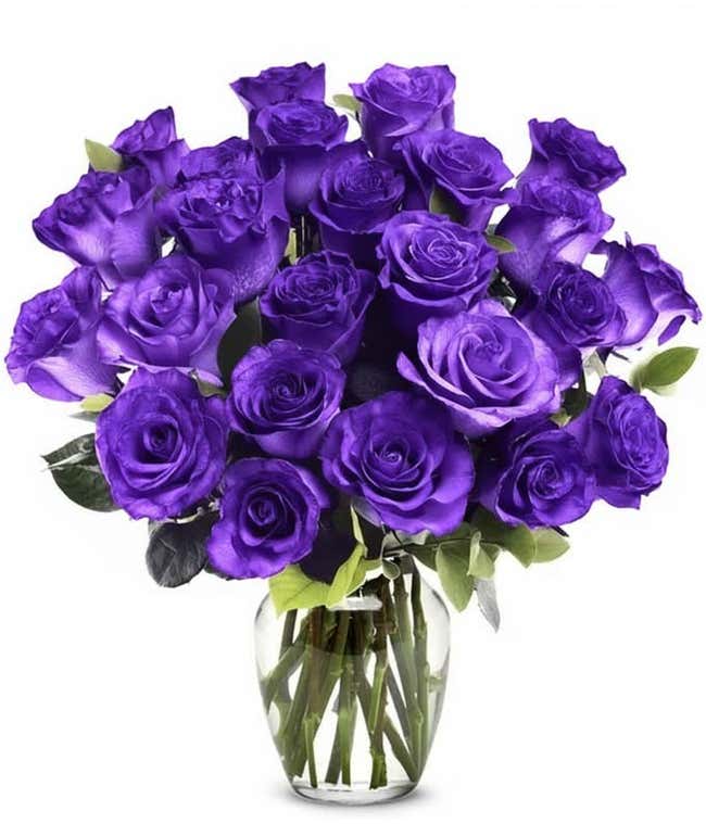 Two dozen deep purple dyed roses with optional clear vase.