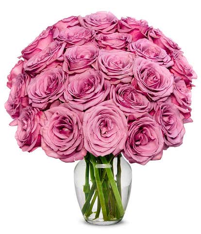 From You Flowers - Two Dozen Red & Pink Roses with Free Vase (Fresh  Flowers) Birthday, Anniversary, …See more From You Flowers - Two Dozen Red  & Pink