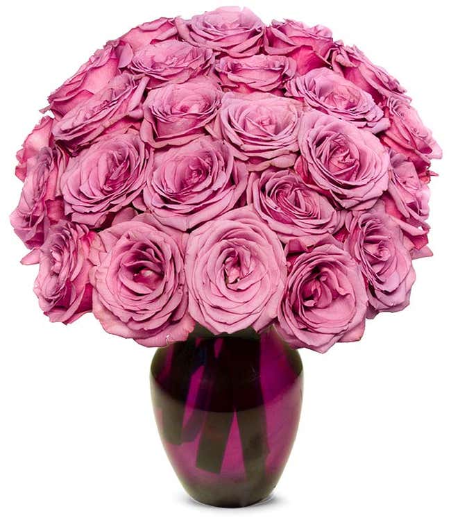 Two Dozen Purple Roses Delivered