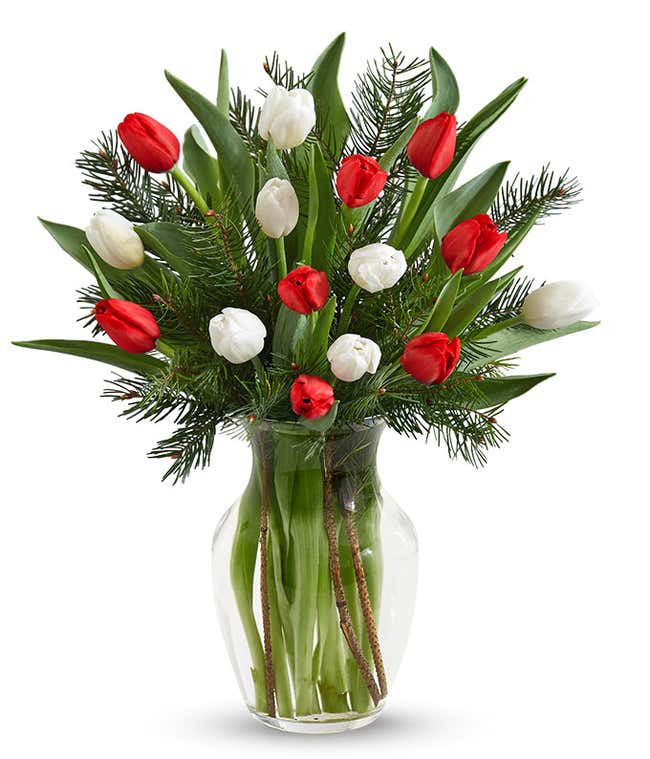 Christmas tulips for delivery in a red vase. 