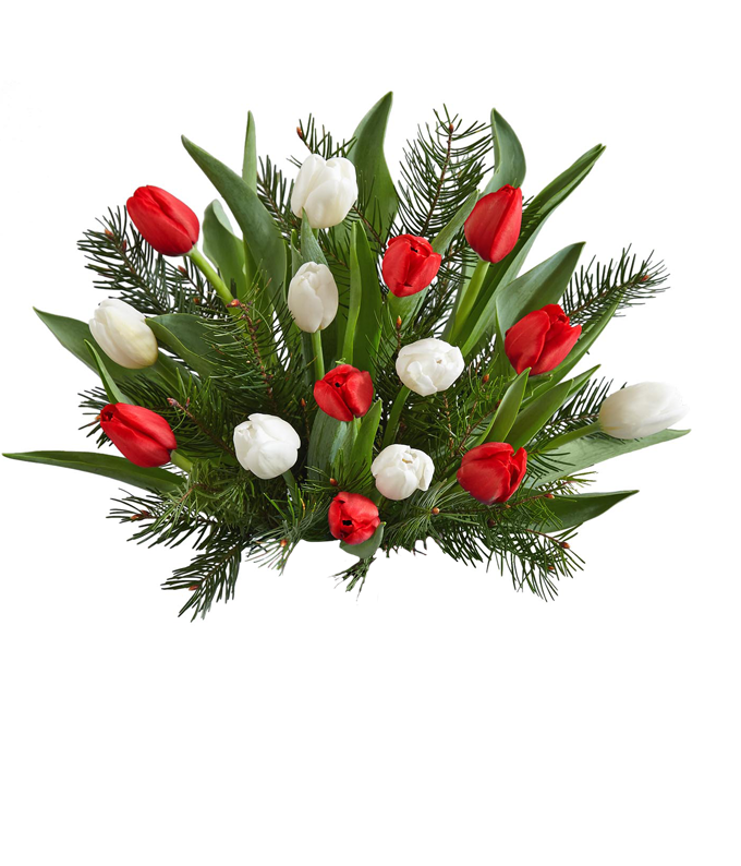 Christmas Flowers FromYouFlowers