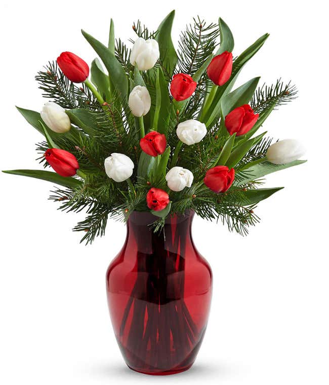 Christmas tulips for delivery in a red vase. 