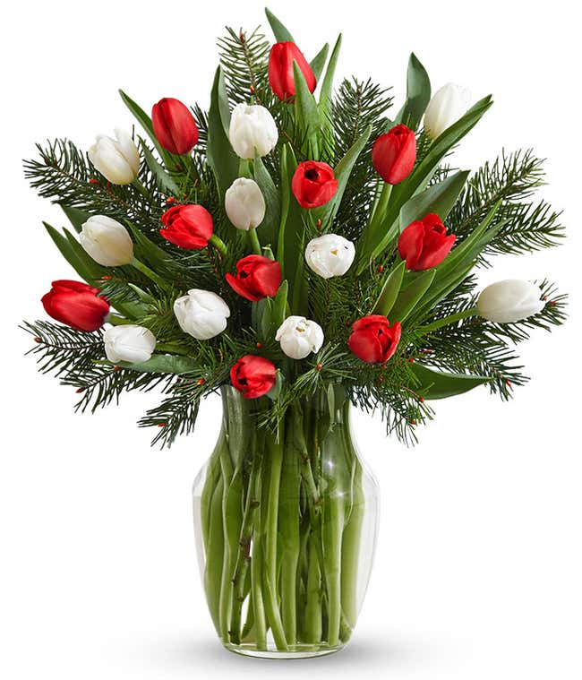 Red and white tulips with seasonal greens in a glass vase, creating a vibrant and elegant floral arrangement.