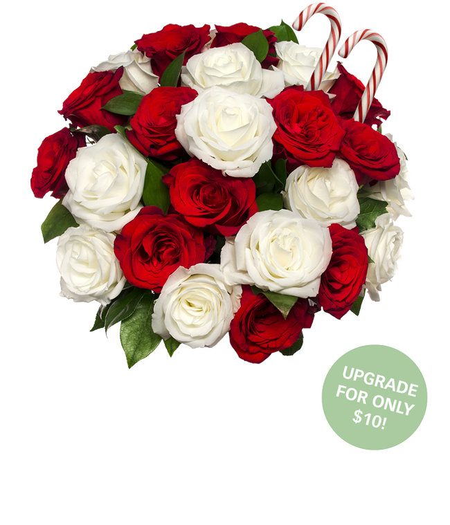 Partial image of A clear glass vase filled with red and white roses arranged in a rounded shape, accented with two candy canes tucked among the blooms and green leaves. without vase.