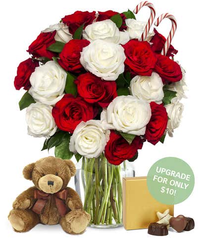 One Dozen Candy Cane Roses with Chocolates & Bear
