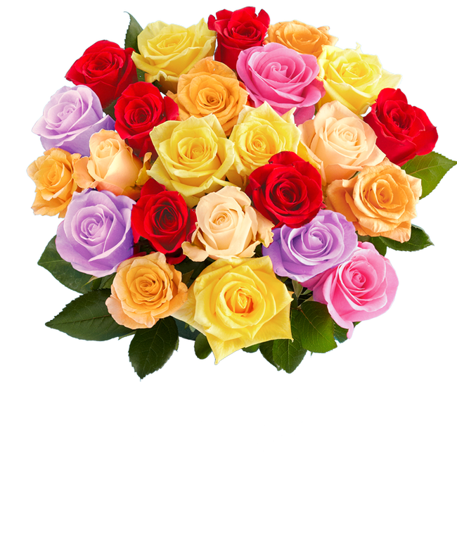 Partial image of Two Dozen Love is Love Rainbow Roses without vase