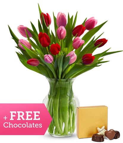Red & Pink Tulips with FREE Chocolates