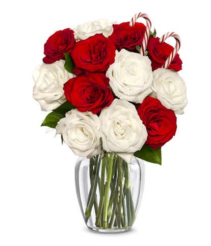 Sweet Candy Cane Rose Bouquet
