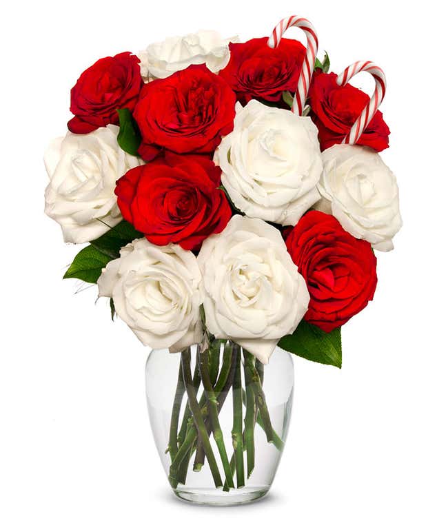 A festive arrangement with red roses, white roses, and two candy canes. Vase optional.