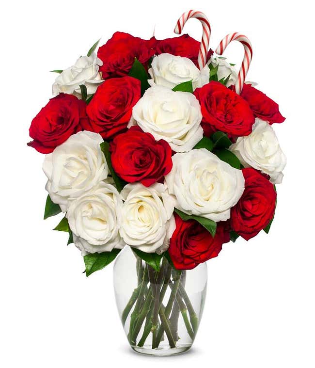 Sweet Candy Cane Rose Bouquet 