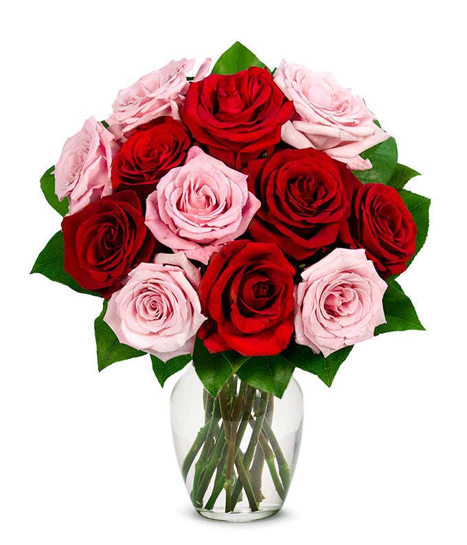 A Dozen Red Pink Roses At From You Flowers