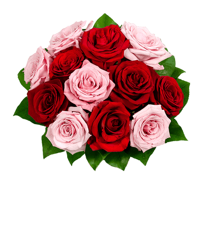 Mixed Roses | One Dozen Roses | FromYouFlowers