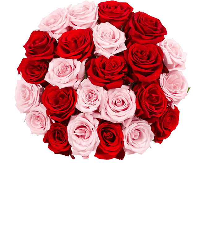 Romantic Love VALENTINE GIFT for Girl Unique Clear red Rose