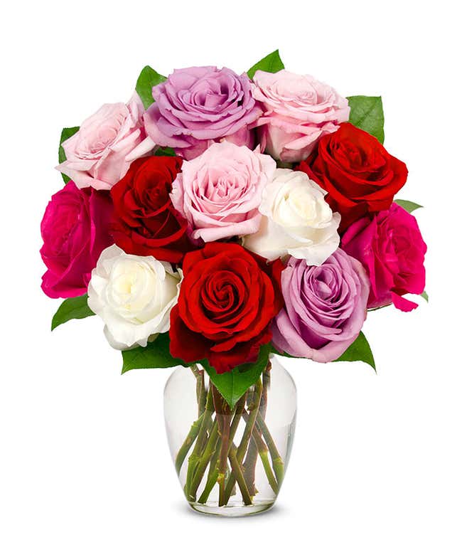 One dozen pink, red, white and purple roses for Mother's Day gift