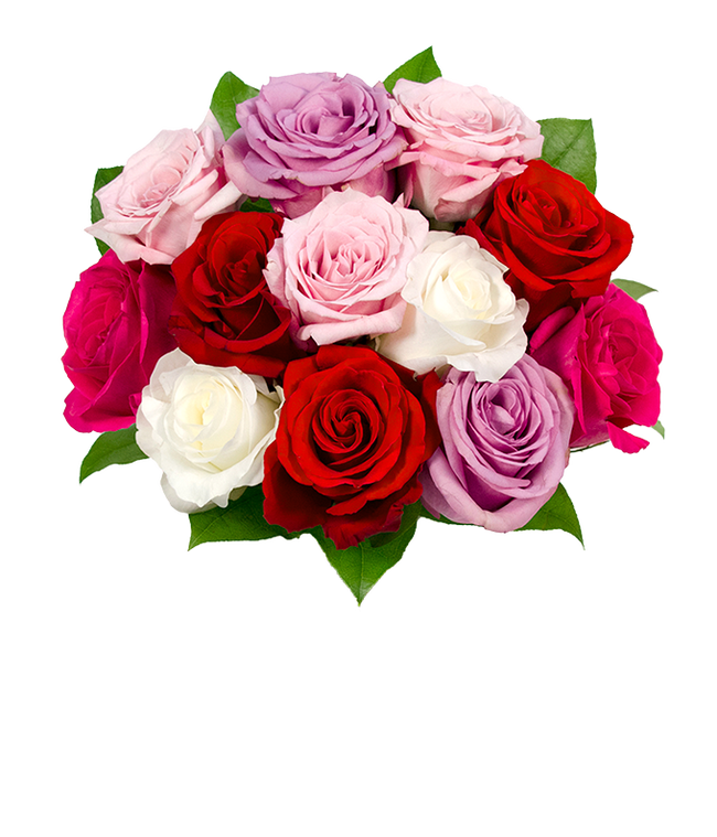 One dozen pink, red, white and purple roses for Mother's Day gift
