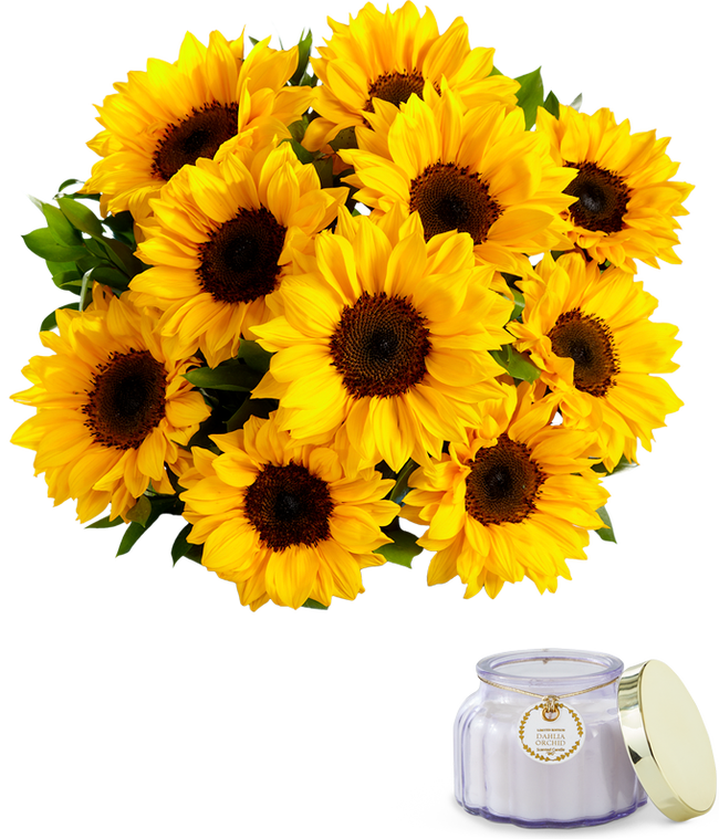 Partial image of Bright yellow sunflowers with greens in a clear glass vase. Sat next to a small purple candle in a glass jar.  without vase.