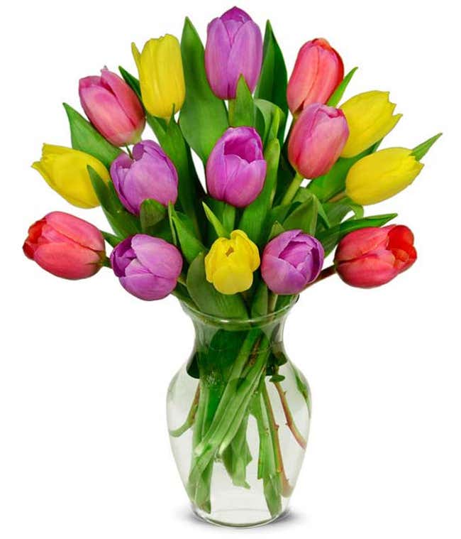 Pastel tulip bouquet with purple tulips and light pink tulips