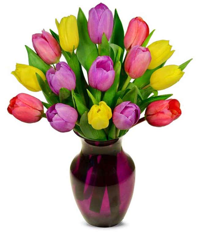 Pastel tulip bouquet with purple tulips and light pink tulips