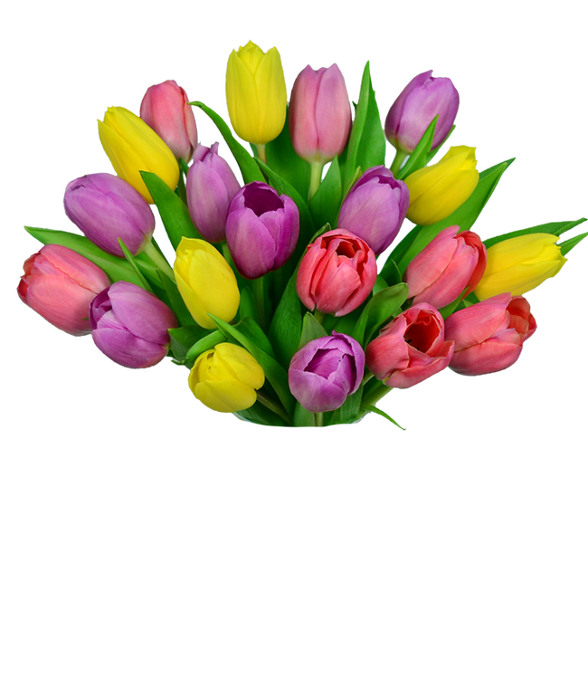 Partial image of spring tulips bouquet without vase