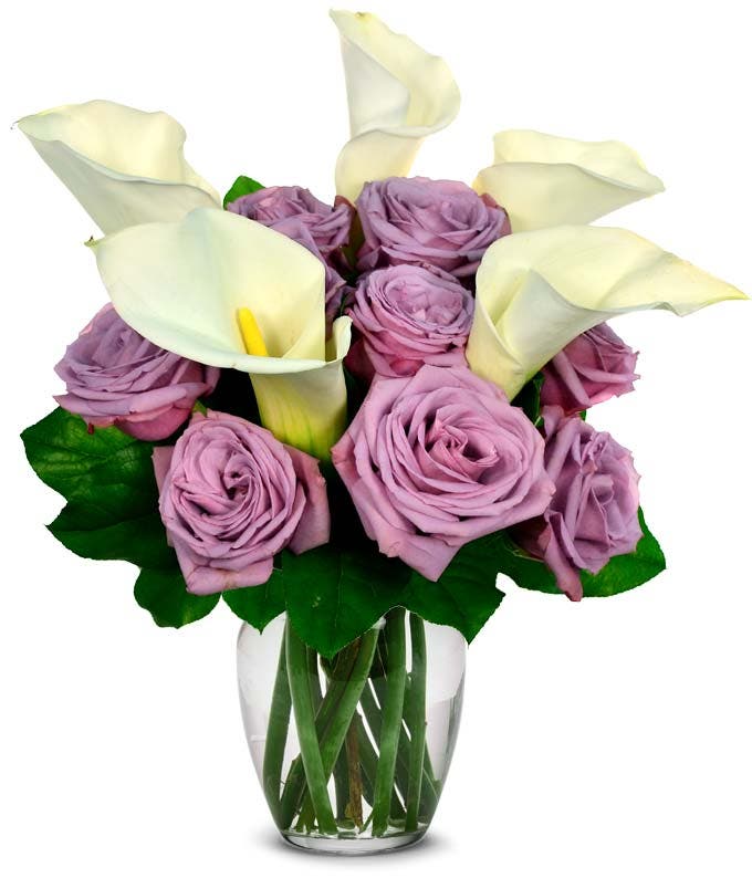 Calla Lilies Calla Lily Delivery FromYouFlowers