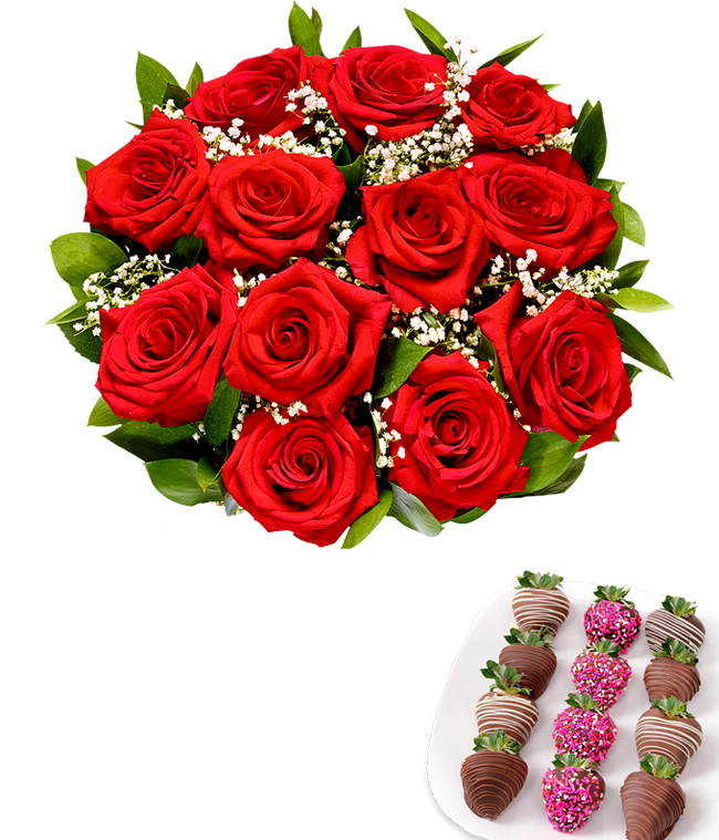 Partial image of One dozen red roses with one dozen chocolate covered strawberries decorated with pink sprinkles without vase.