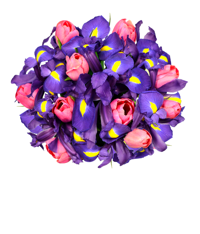 Partial image of Pink tulips delivered with blue iris flowers without vase