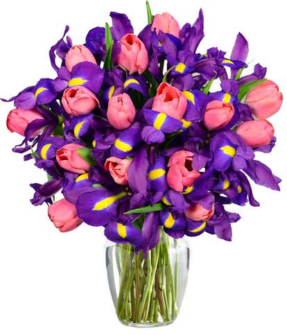 Pink Tulip and Iris Bouquet - Deluxe