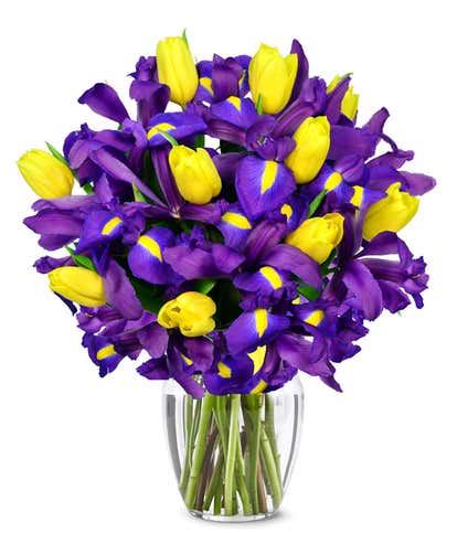 Sunny Tulip and Iris Bouquet