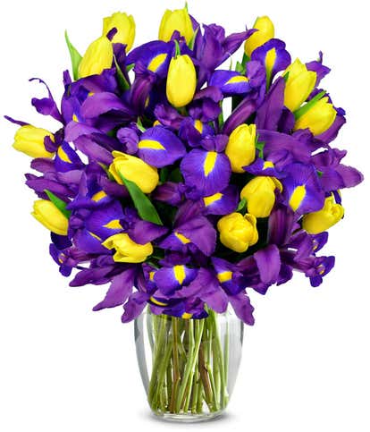 Sunny Tulip and Iris Bouquet - Deluxe