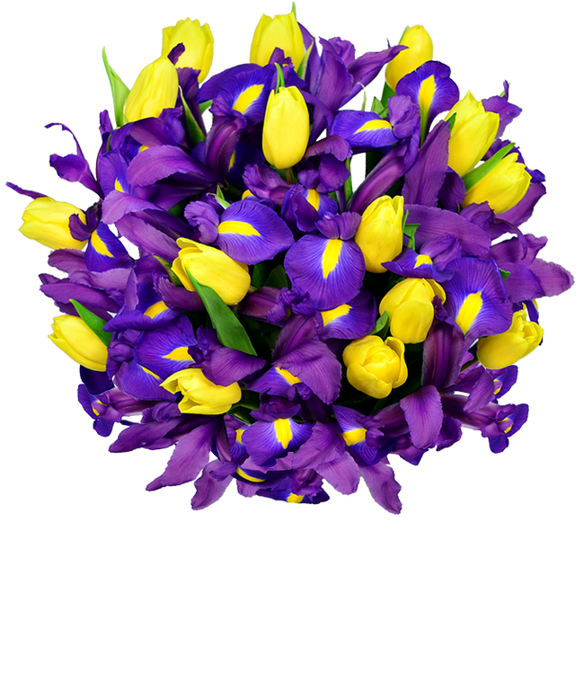 Partial image of Yellow tulips delivered with blue irises without vase.