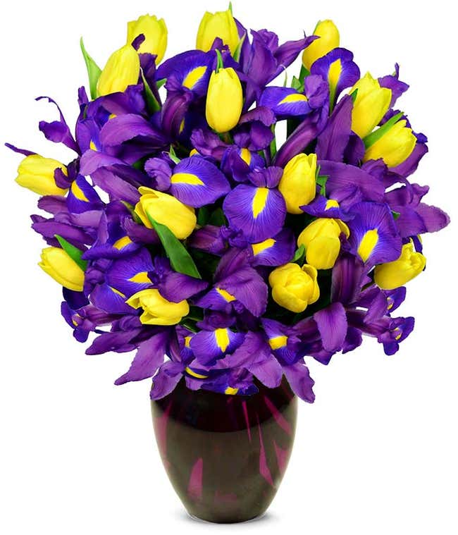 Yellow tulips delivered with blue irises