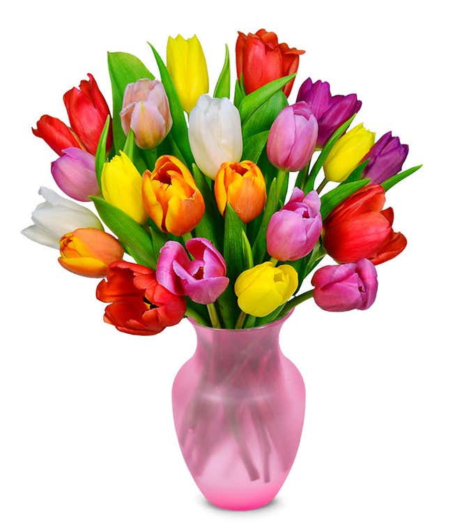 20 stems of tulips in red, orange, yellow and purple