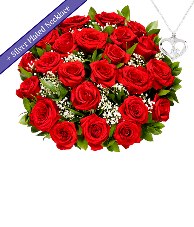 Partial image of Two Dozen Red Roses with Sterling Silver Heart Necklace without vase
