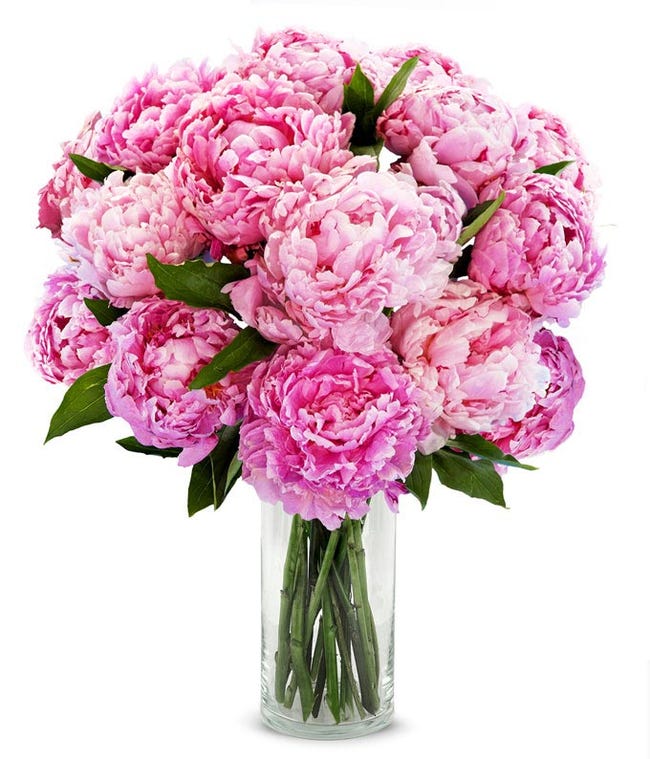 Pink Flowers | Hot Pink Flower Delivery | FromYouFlowers