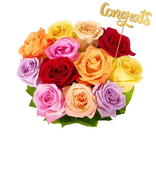 Partial image of Congrats! One Dozen Rainbow Roses without vase