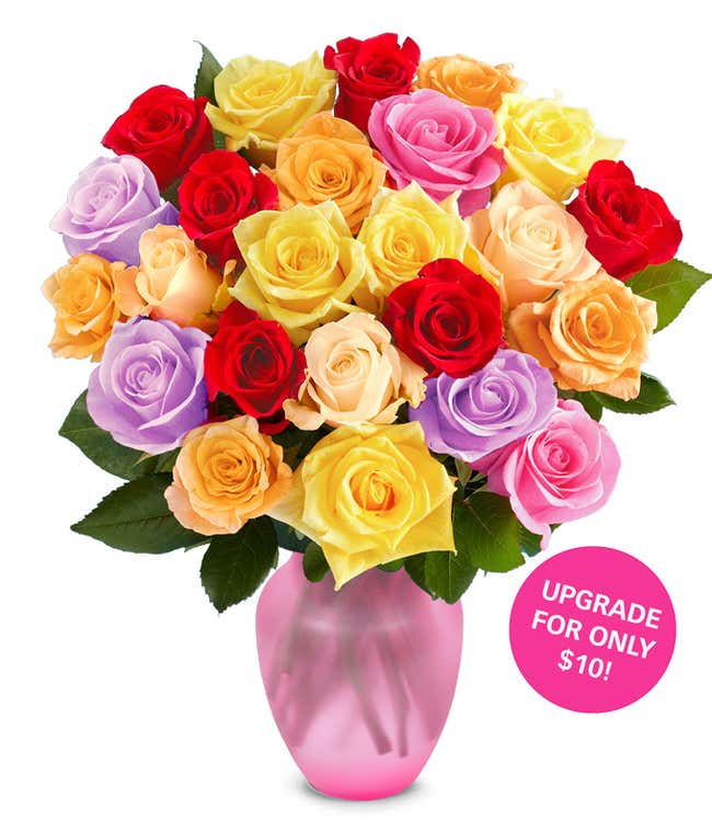 Long Stem Colorful One Dozen Roses