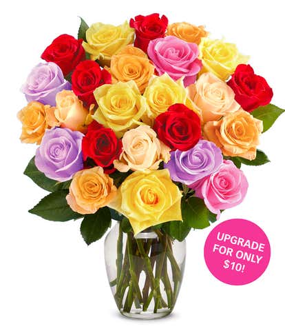Two Dozen Assorted Roses 